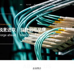 四川启电送变电电力工程有限公司