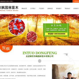 泰安东枫园林苗木有限公司,泰安东枫园林,东枫园林,泰安东枫园林有限公司,泰安红枫价格,泰安火焰南天竹,泰安火焰南天竹基地,泰安红枫基地