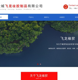 盐城飞龙橡胶制品有限公司