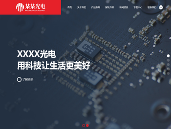 某某光电有限公司