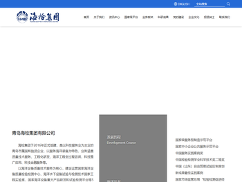 青岛海检集团有限公司