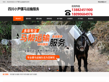 四川马帮运输队