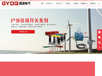 国源电气有限公司