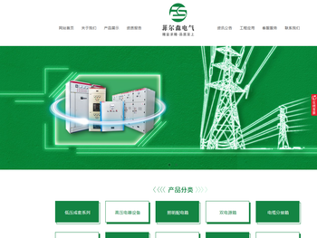 重庆菲尔森电气有限公司