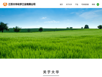 江苏大华化学工业有限公司