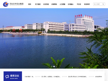 河北文丰实业集团有限公司