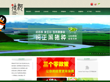 【官网】徒河黑猪肉公司