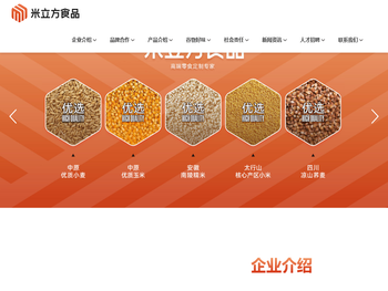 高端零食定制专家