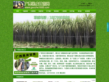 黑皮甘蔗：探寻优质甘蔗的源头