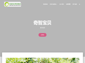 奇智宝贝教育集团