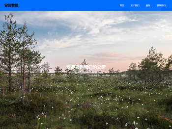 山东安创智控网络科技有限公司