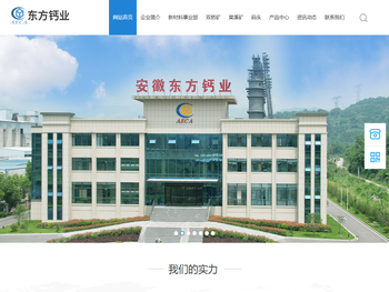 安徽东方钙业有限公司