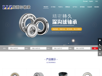 山东施耐尔轴承有限公司