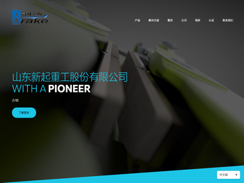 山东新起重工股份有限公司