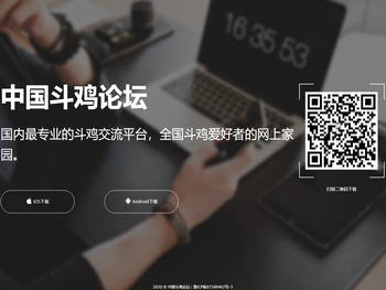 中国斗鸡论坛