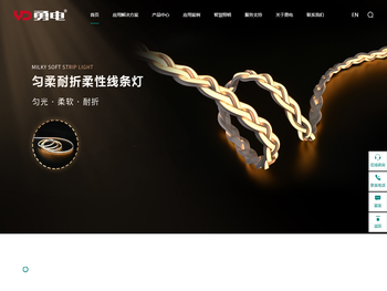 杭州勇电照明有限公司