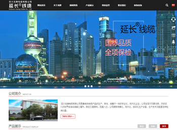 四川龙牌电缆有限公司