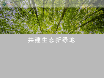 深圳市新地生态环境有限公司