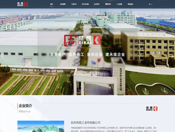 杭州帝凯工业布有限公司