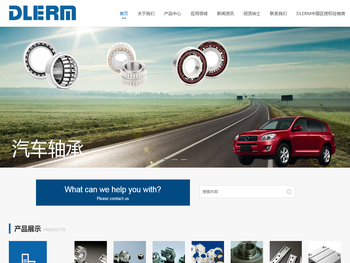 DLERM轴承大中华区运营中心