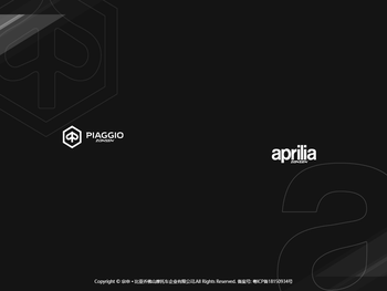 宗申·比亚乔佛山摩托车企业有限公司