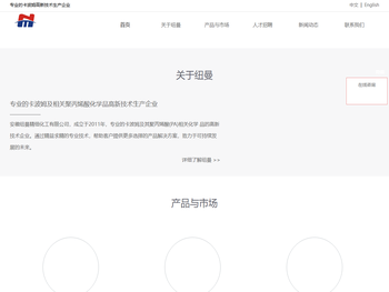 卡波姆/卡波树脂/聚丙烯酸树脂