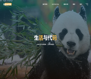 生活与代码