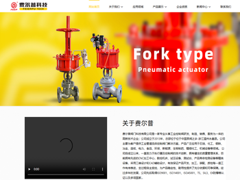 费尔普阀门科技有限公司