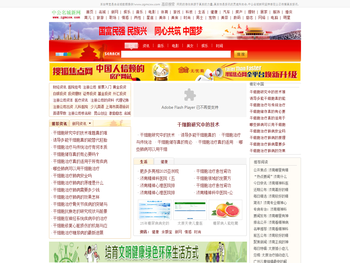 中公名城新网欢迎您