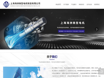 上海海洲微型电机制造有限公司
