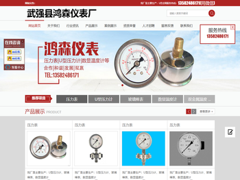 武强县鸿森仪表厂