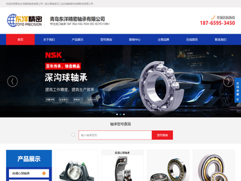 山东青岛NSK轴承,SKF轴承,青岛FAG轴承,INA轴承授权经销代理商