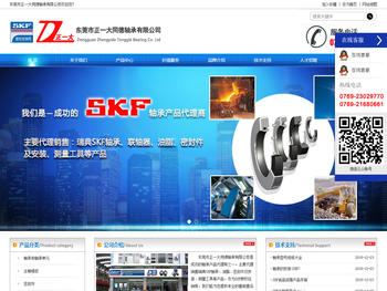 东莞市正一大同德轴承有限公司