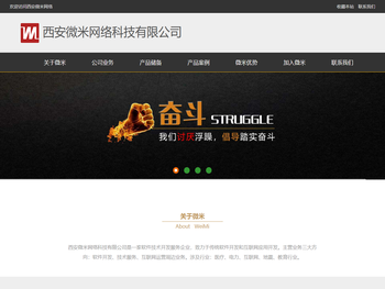 西安微米网络科技有限公司