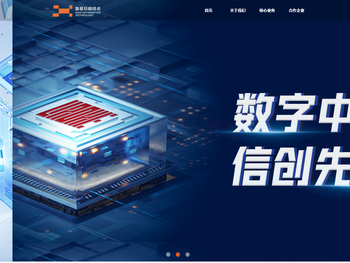 新基信息技术集团股份有限公司