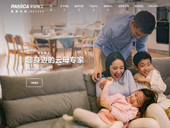 湖北平安电工科技股份公司