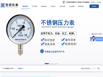 不锈钢耐震压力表