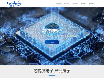 无锡芯悦微电子有限公司
