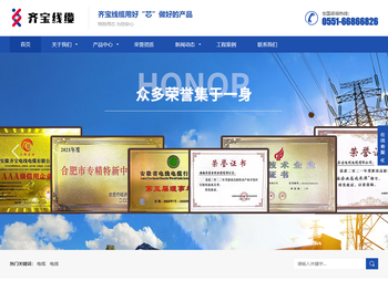 安徽齐宝电线电缆有限公司