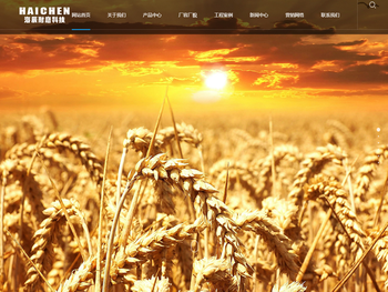 镇江海辰耐磨科技有限公司