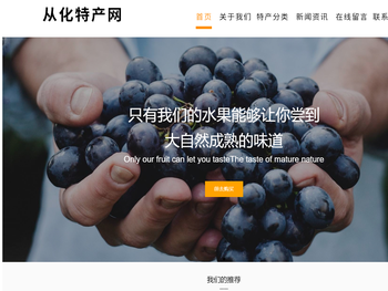 从化特产网