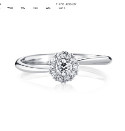 Bao+珠宝智能配货销售平台