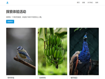 探索体验活动