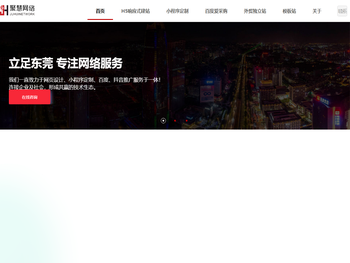 东莞专业网站制作公司