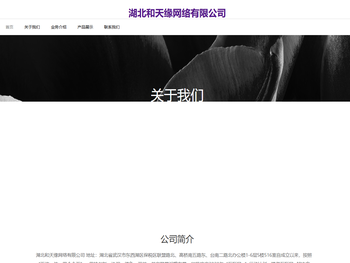 湖北和天缘网络有限公司