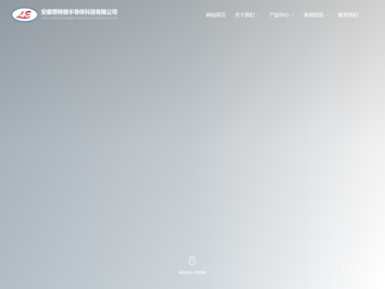 安徽领特微半导体技术有限公司