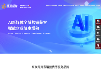 数字化平台开发