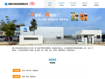 合肥小林药业有限公司