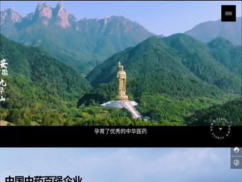 九华华源药业股份有限公司