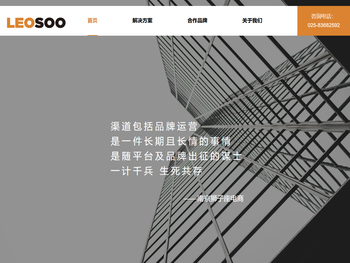 狮子座电商：专注于苏宁易购全渠道运营服务与品牌企业数字零售解决方案